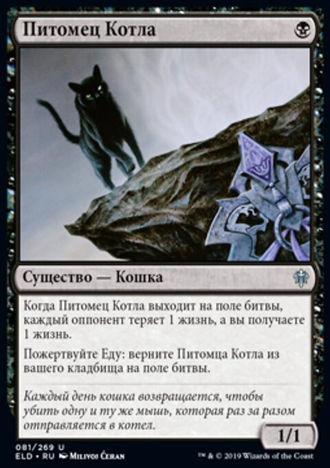 ПИтомец котла