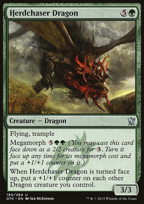 Herdchaser dragon