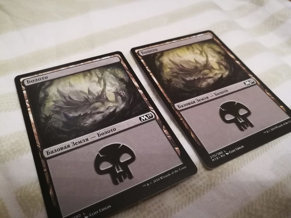 болота мисс.jpeg