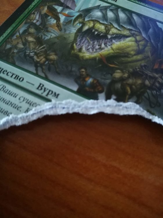 WhatsApp Image 2018-11-01 at 08.36.34.jpeg