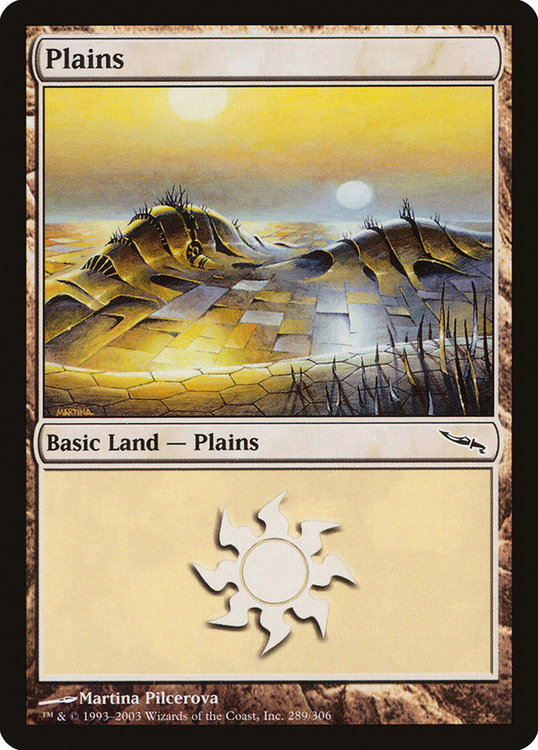 mrd-289-plains.jpg