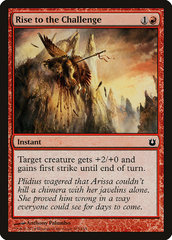 Rise to the Challenge.jpg