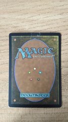 IMG_20190224_103037 2.jpg