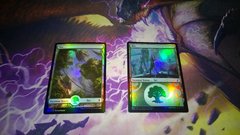 2 РУ ФОЙЛ ЛЕСА.jpg