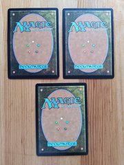 Рокс, Укрепитель Веры,Rhox Faithmender,Возносящийся Праведник Серры.jpg