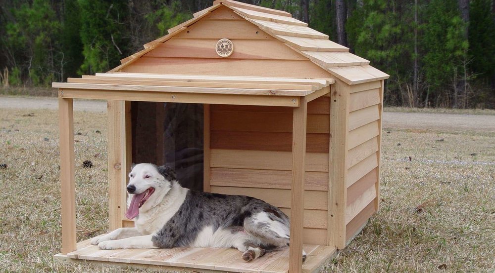 Large-dog-house.thumb.jpg.5ac70452ac1fc0bdc72fb3d9ec4310af.jpg