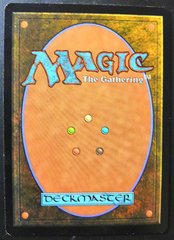 лилиана реверс.jpg