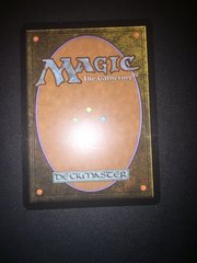 Скул рубашка.JPG