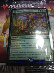 Древний Никоцвет пререлиз.jpg