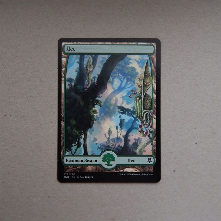 зеленые 2.JPG