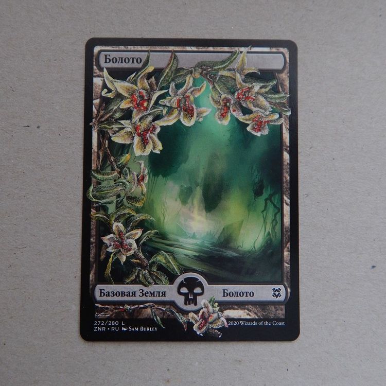 орхидеи 2.JPG