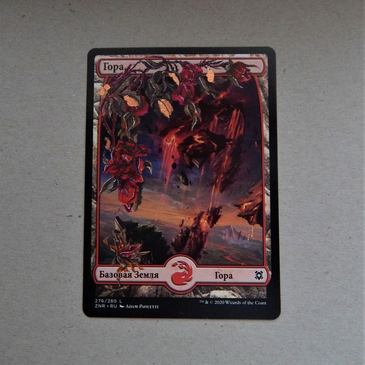 шиповник 2.JPG