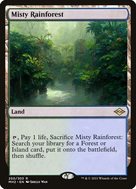 mh2-250-misty-rainforest copy 2.jpg