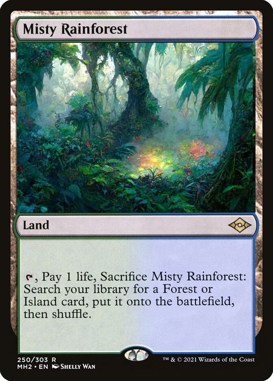 mh2-250-misty-rainforest copy.jpg