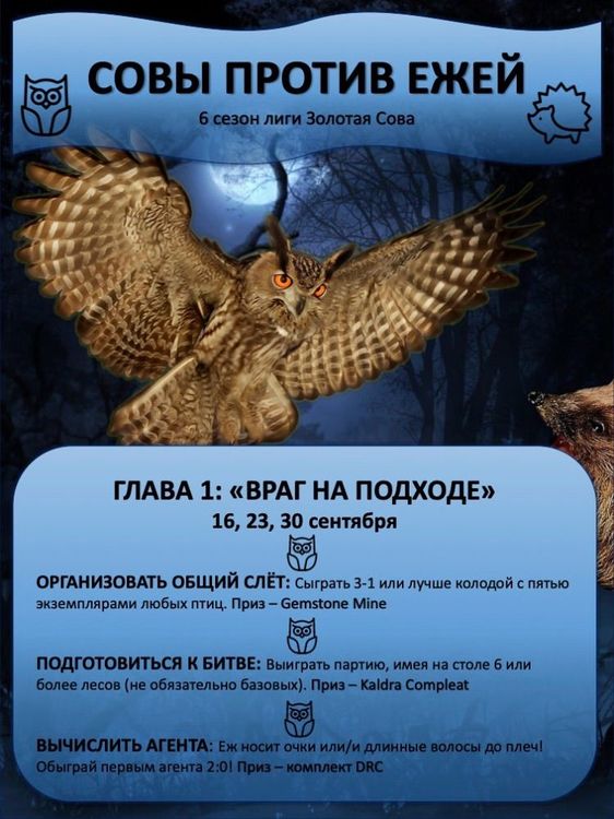 Сова 6 сезон.jpg