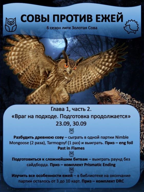 Сова челленджи 2.jpg