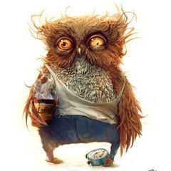 NuttyNightOwll