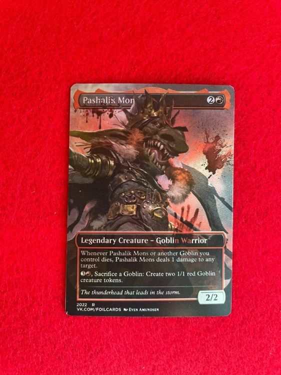 photo_2023-02-23 14.23.14.jpeg