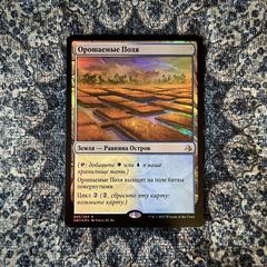 Орошаемые поля.jpg