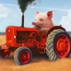 traktorist_dez