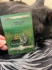 Равнина_скелет