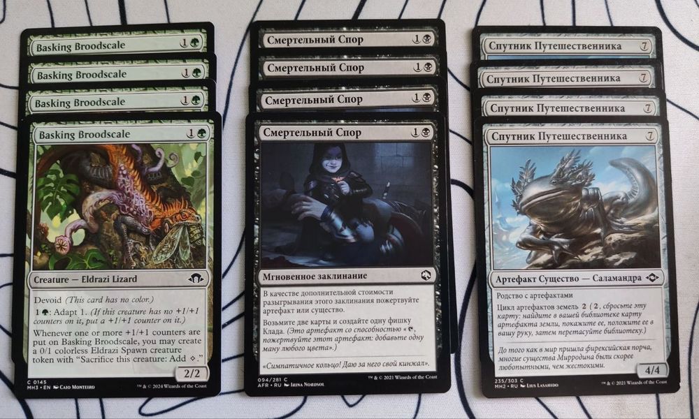 photo_2025-04-25_10-02-29 (2).jpg