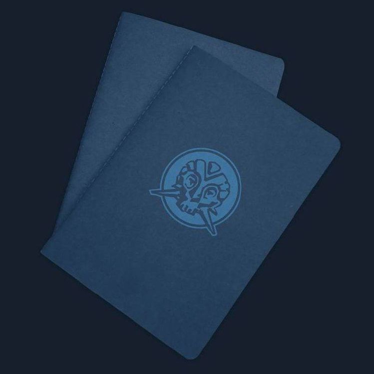 доп приз снитч.jpg