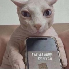 Радмир Белов