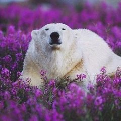 Вла.....ХотяНе