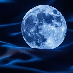 Алексей Пяткин