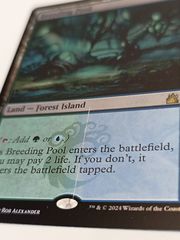 2025-08-07 14-15-23.JPG