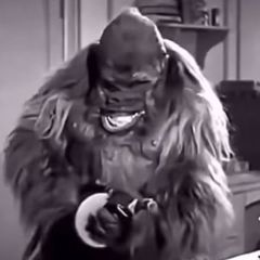 Серёжа Васильев