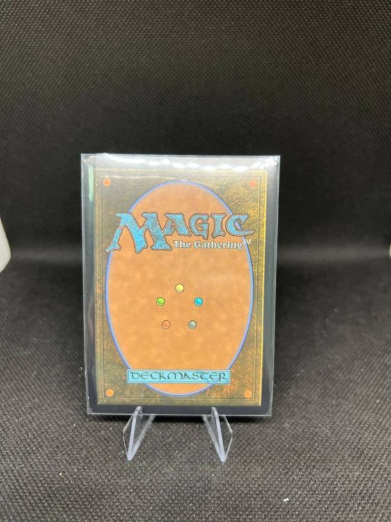 photo_2025-12-18 13.38.48.jpeg