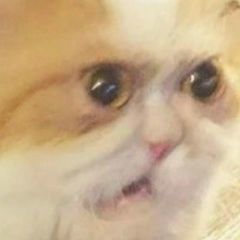 Михаил Вараксин