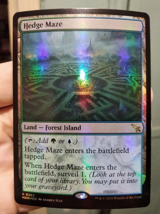 foil hedge maze.jpg