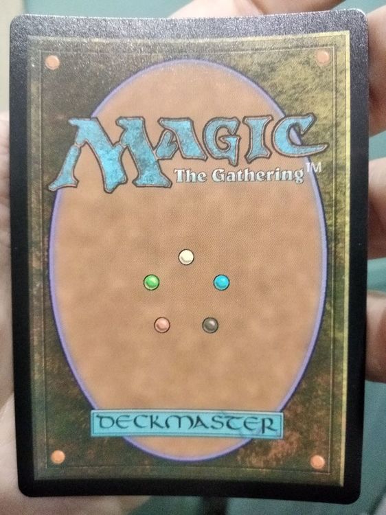 foil hedge maze b.jpg