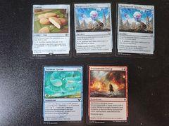 2026-04-28 14.08.47.jpg