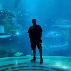 Дмитрий Чернобровкин