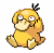 Psyduck